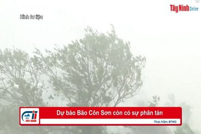 Dự báo Bão Côn Sơn còn có sự phân tán