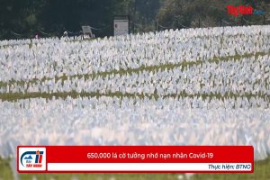 650.000 lá cờ tưởng nhớ nạn nhân Covid-19