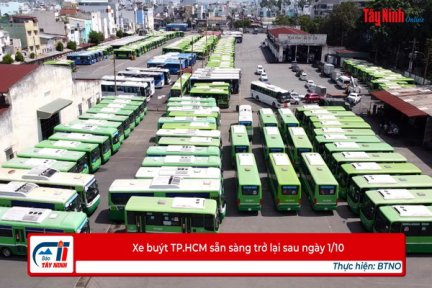 Xe buýt TP.HCM sẵn sàng trở lại sau ngày 1/10