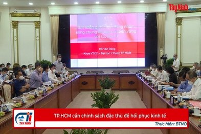 TP.HCM cần chính sách đặc thù để hồi phục kinh tế