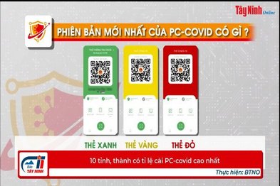 10 tỉnh, thành có tỉ lệ cài PC-covid cao nhất