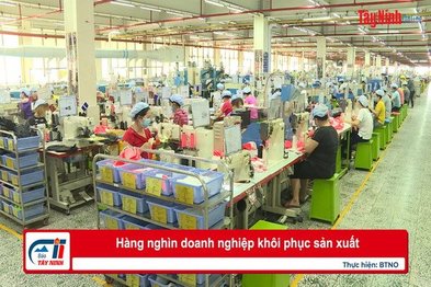 Hàng nghìn doanh nghiệp khôi phục sản xuất