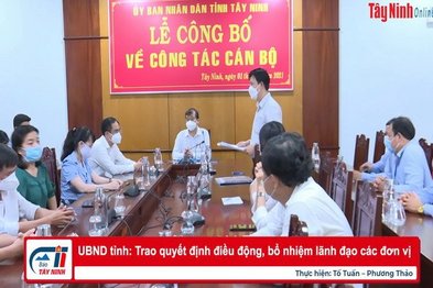 UBND tỉnh: Trao quyết định điều động, bổ nhiệm lãnh đạo các đơn vị