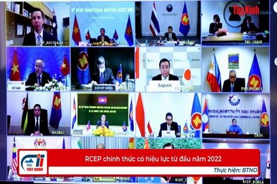 RCEP chính thức có hiệu lực từ đầu năm 2022