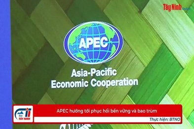 APEC hướng tới phục hồi bền vững và bao trùm