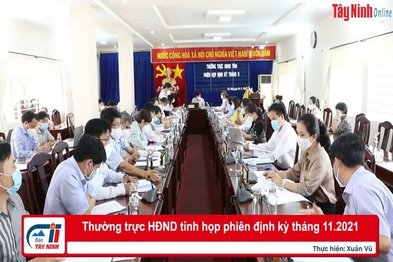 Thường trực HĐND tỉnh họp phiên định kỳ tháng 11.2021