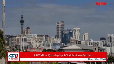 APEC đề ra lộ trình phục hồi kinh tế sau đại dịch