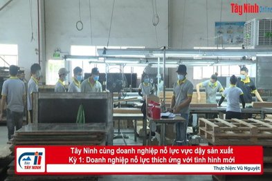 Tây Ninh cùng doanh nghiệp nỗ lực vực dậy sản xuất-Kỳ 1: Doanh nghiệp nỗ lực thích ứng với tình hình mới