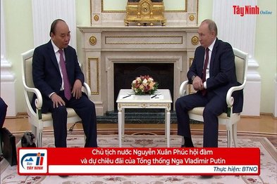 Chủ tịch nước Nguyễn Xuân Phúc hội đàm và dự chiêu đãi của Tổng thống Nga Vladimir Putin