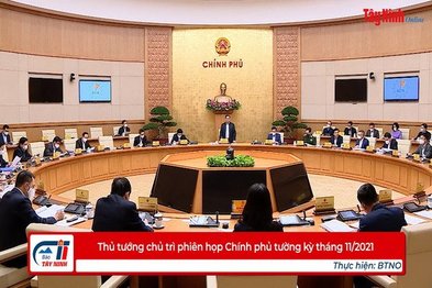 Thủ tướng chủ trì phiên họp Chính phủ thường kỳ tháng 11.2021