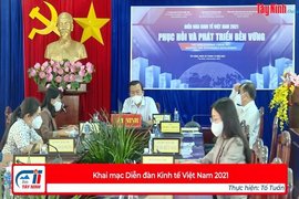 Khai mạc Diễn đàn Kinh tế Việt Nam 2021