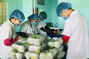 Tây Ninh thu hút nhiều doanh nghiệp đầu tư nông nghiệp công nghệ cao