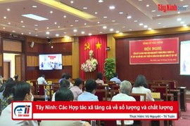 Tây Ninh: Các Hợp tác xã tăng cả về số lượng và chất lượng