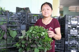 Tây Ninh: Đẩy mạnh các chính sách hỗ trợ doanh nghiệp , HTX phục hồi sản xuất - kinh doanh