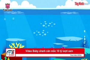 Video Baby shark cán mốc 10 tỷ lượt xem