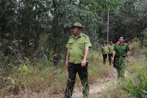 Tây Ninh: Công tác quản lý, bảo vệ rừng và phát triển rừng được đặc biệt chú trọng