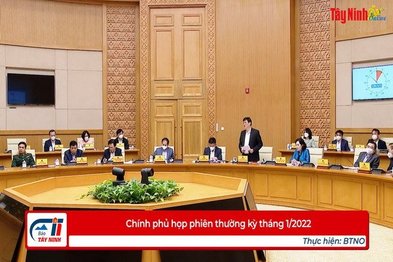 Chính phủ họp phiên thường kỳ tháng 1/2022