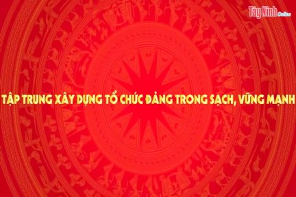 Tập trung xây dựng tổ chức Đảng trong sạch, vững mạnh