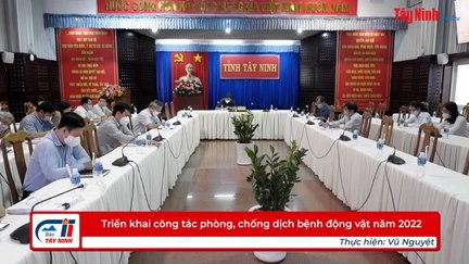 Triển khai công tác phòng, chống dịch bệnh động vật năm 2022