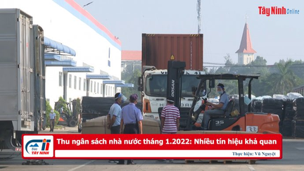 Thu ngân sách nhà nước tháng 1.2022: Nhiều tín hiệu khả quan