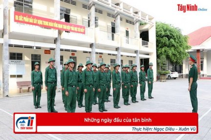 Những ngày đầu của tân binh