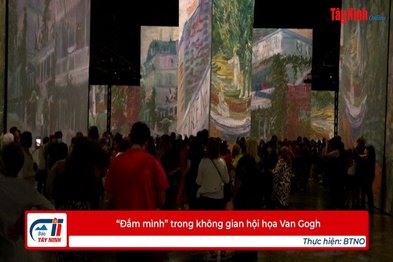 “Đắm mình” trong không gian hội họa Van Gogh