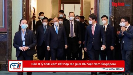 Gần 11 tỷ USD cam kết hợp tác giữa DN Việt Nam-Singapore