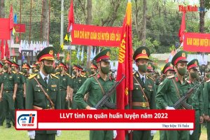 LLVT tỉnh ra quân huấn luyện năm 2022
