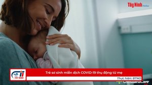 Trẻ sơ sinh miễn dịch COVID-19 thụ động từ mẹ