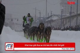 Khai mạc giải đua xe chó kéo lớn nhất thế giới