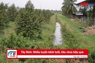 Tây Ninh: Nhiều tuyến kênh tưới, tiêu chưa hiệu quả