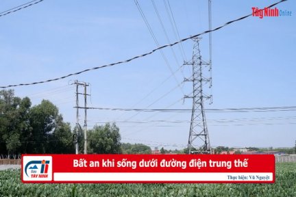 Bất an khi sống dưới đường điện trung thế