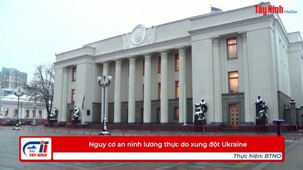 Nguy cơ an ninh lương thực do xung đột Ukraine