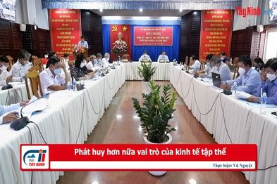 Phát huy hơn nữa vai trò của kinh tế tập thể