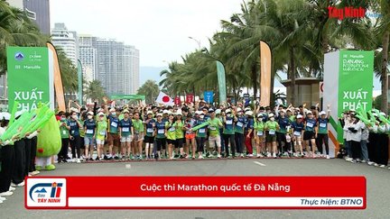 Cuộc thi Marathon quốc tế Đà Nẵng