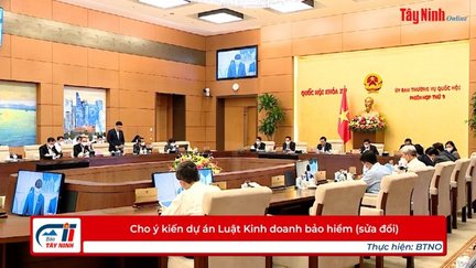 Cho ý kiến dự án Luật Kinh doanh bảo hiểm (sửa đổi)