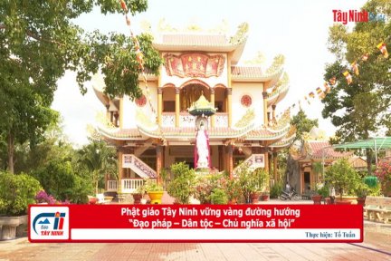 Phật giáo Tây Ninh vững vàng đường hướng “Đạo pháp – Dân tộc – Chủ nghĩa xã hội”