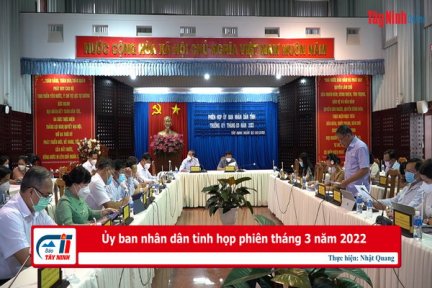 Ủy ban nhân dân tỉnh họp phiên tháng 3 năm 2022