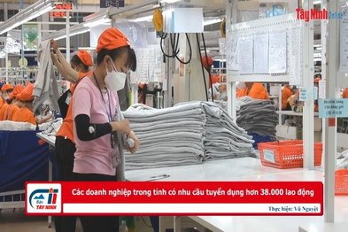 Các doanh nghiệp trong tỉnh có nhu cầu tuyển dụng hơn 38.000 lao động