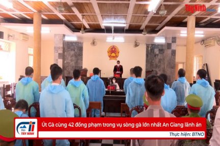 Út Gà cùng 42 đồng phạm trong vụ sòng gà lớn nhất An Giang lãnh án