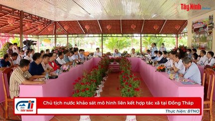 Chủ tịch nước khảo sát mô hình liên kết hợp tác xã tại Đồng Tháp