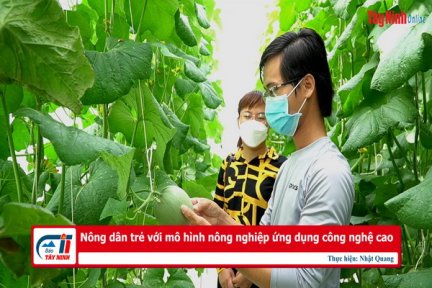 Nông dân trẻ với mô hình nông nghiệp ứng dụng công nghệ cao