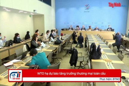 WTO hạ dự báo tăng trưởng thương mại toàn cầu