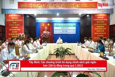 Tây Ninh: Các chương trình tín dụng chính sách giải ngân hơn 230 tỷ đồng trong quý I.2022