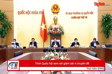 Trình Quốc hội xem xét giám sát 4 chuyên đề