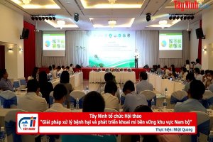 Tây Ninh tổ chức Hội thảo “Giải pháp xử lý bệnh hại và phát triển khoai mì bền vững khu vực Nam bộ”