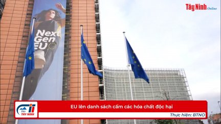 EU lên danh sách cấm các hóa chất độc hại