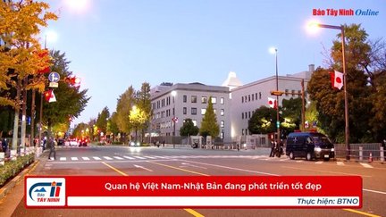 Quan hệ Việt Nam-Nhật Bản đang phát triển tốt đẹp