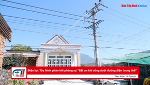 Điện lực Tây Ninh phản hồi phóng sự “Bất an khi sống dưới đường điện trung thế”