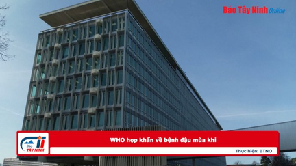 WHO họp khẩn về bệnh đậu mùa khỉ